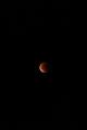 D_20150928-052138 IMG_0542
